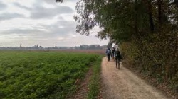 ZO 06/10/19 Wandeling in de bossen van Kampenhout (18 km) 